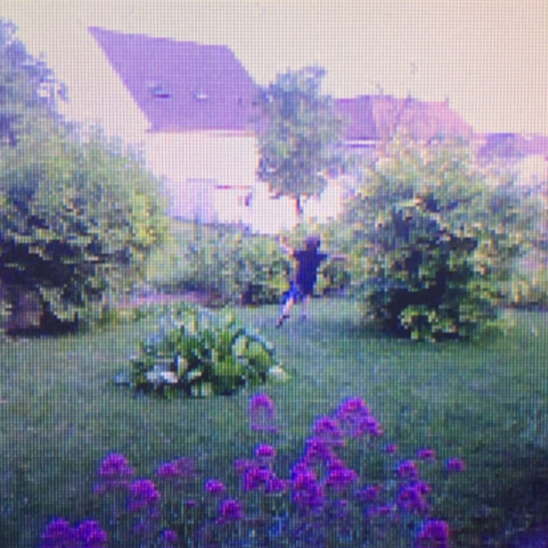 Album cover of peu d'intérêt mais bcp de sens