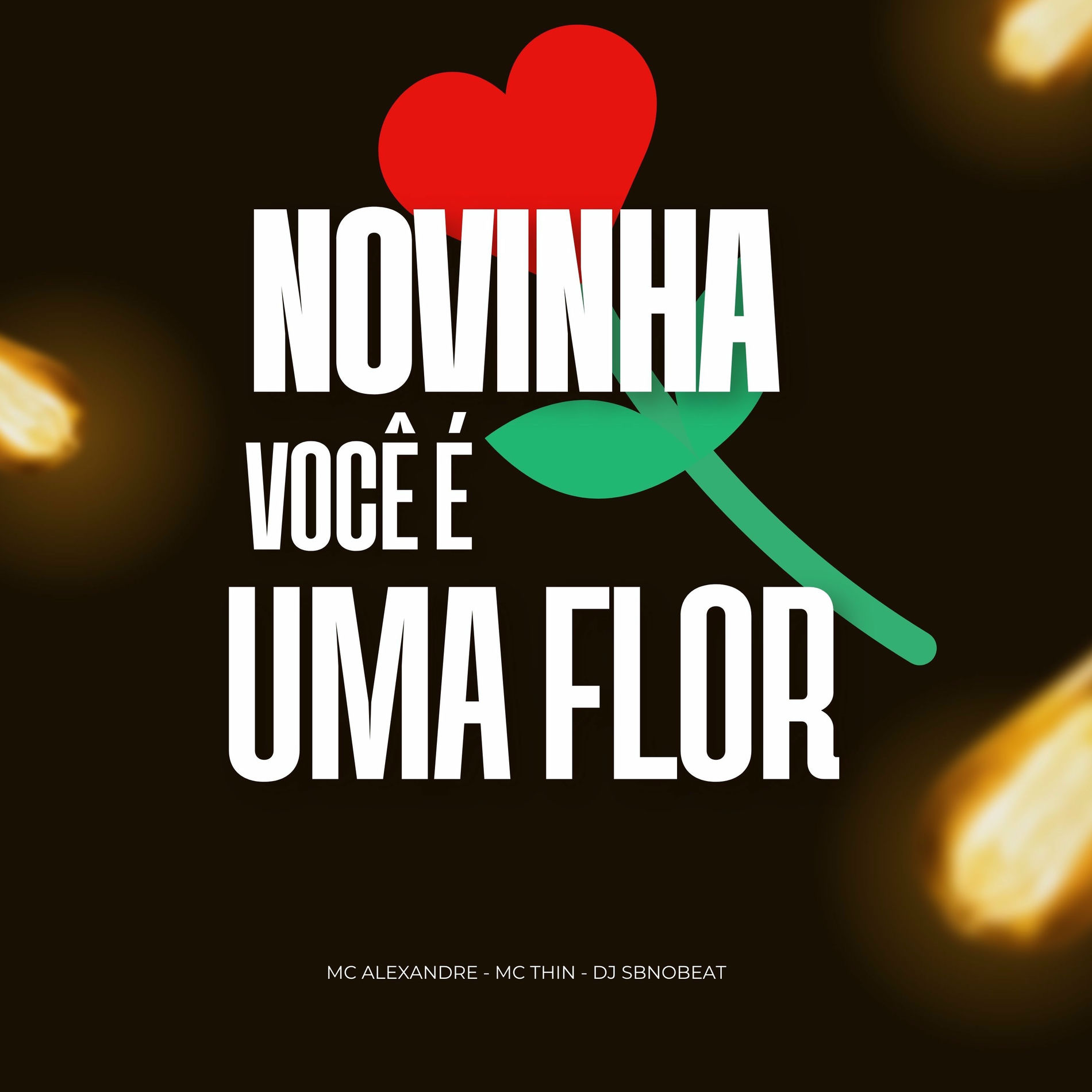 Album cover of Novinha Você É uma Flor