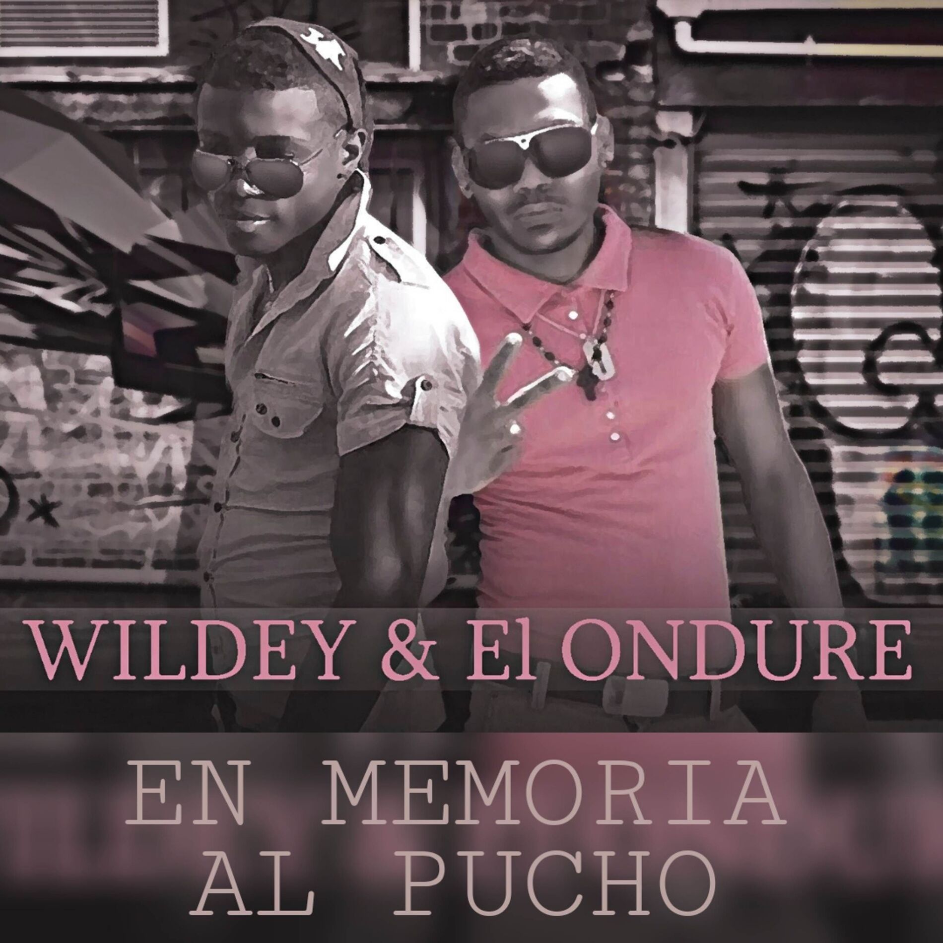 Album cover of EN MEMORIA AL PUCHO