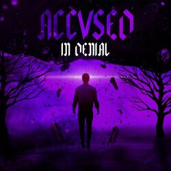 Cover of In Denial