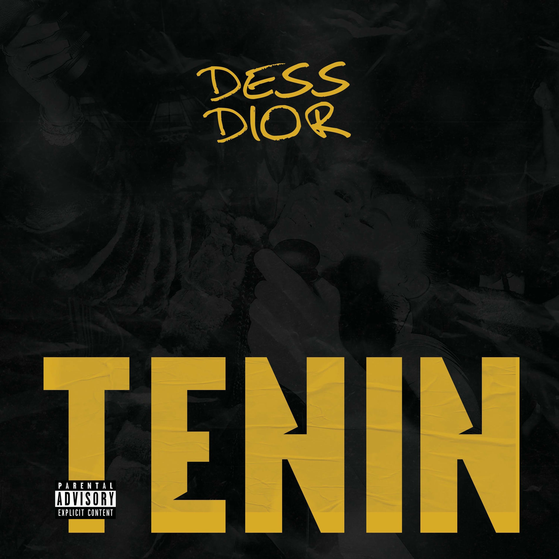 Album cover of Tenin