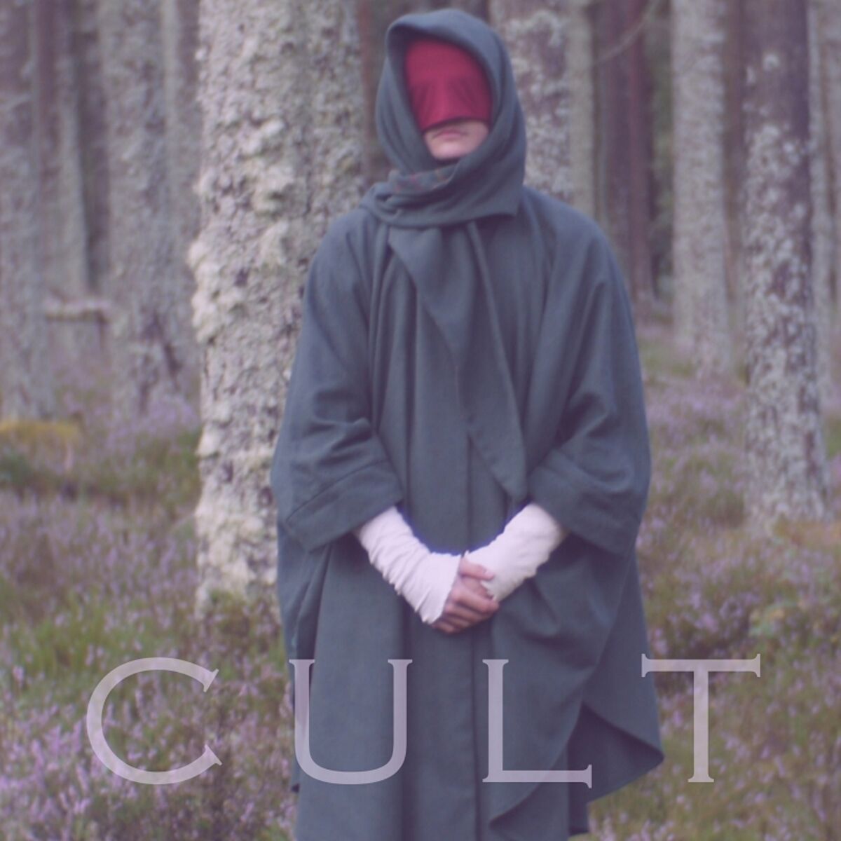 Album cover of Cult