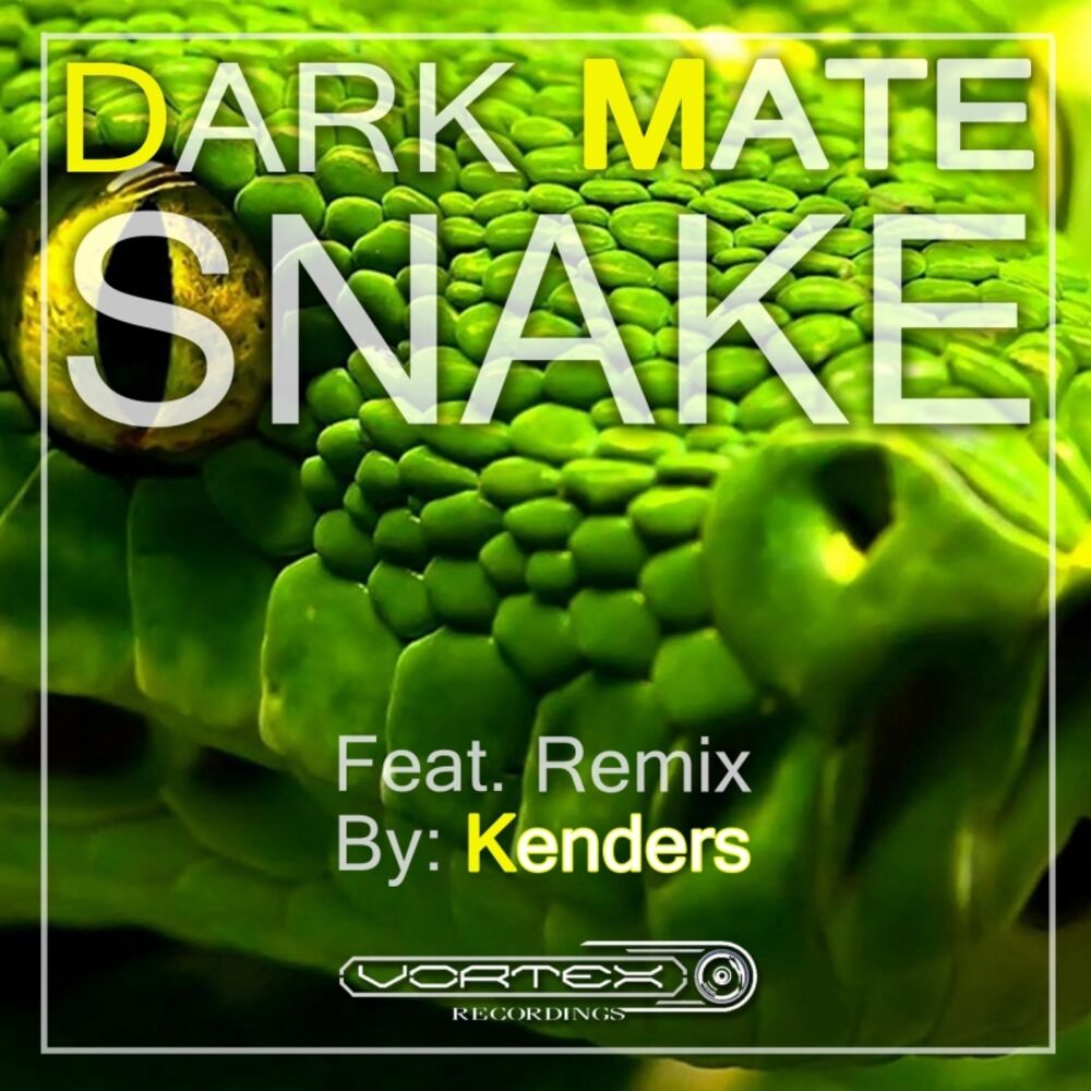 Picture of Snake