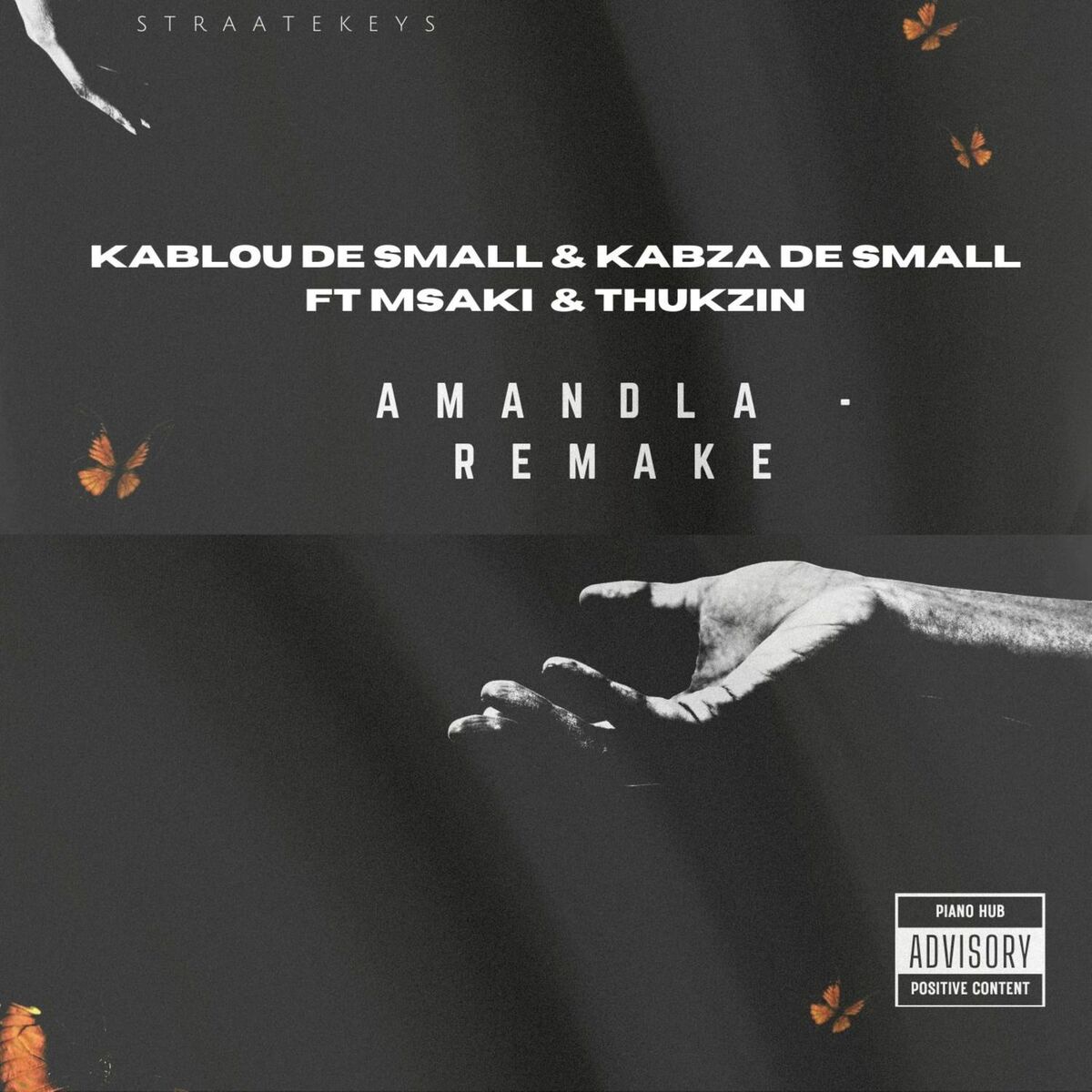 Album cover of Amandla (Remix)