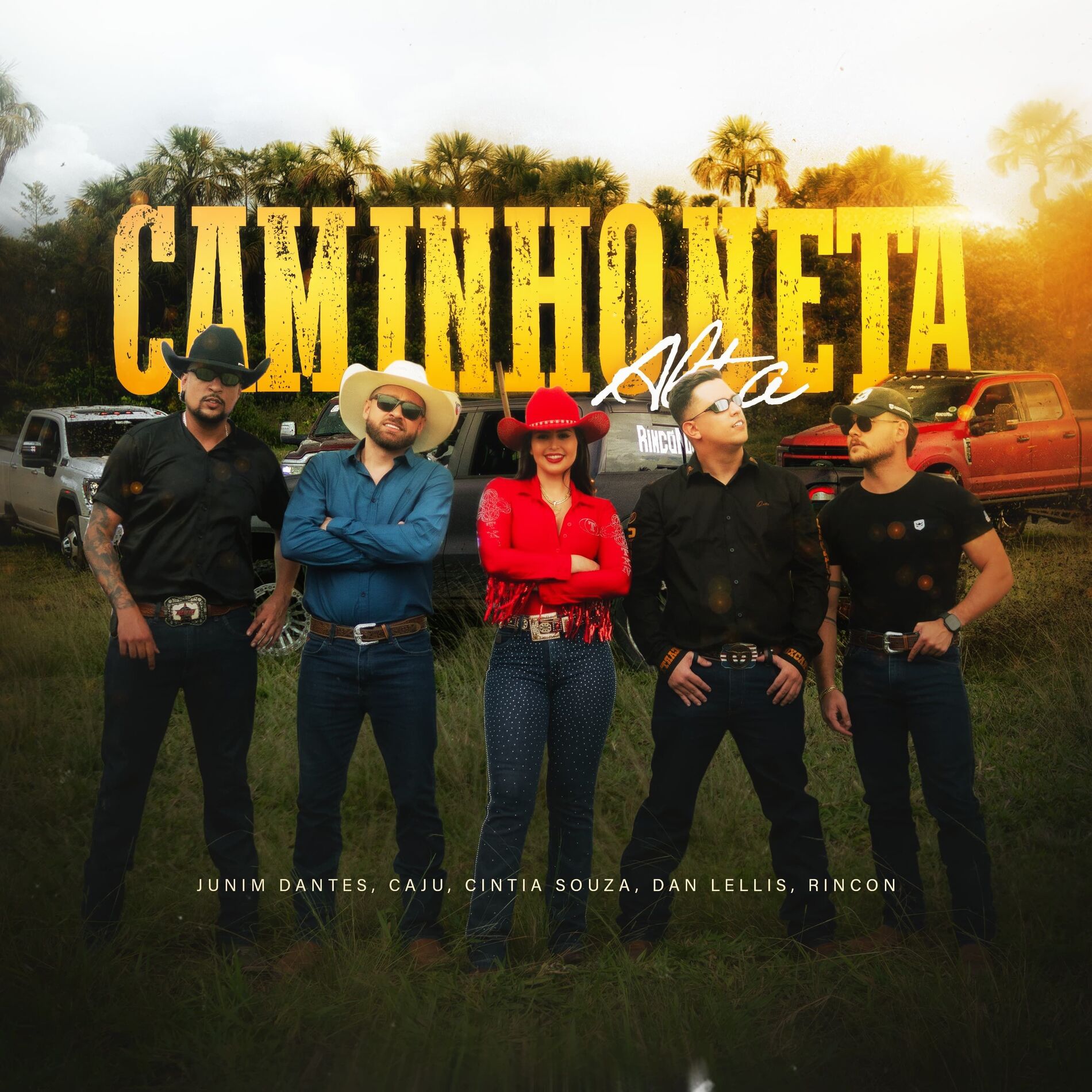 Album cover of Caminhoneta Alta