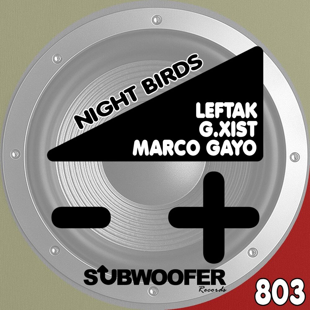 Picture of Night Birds