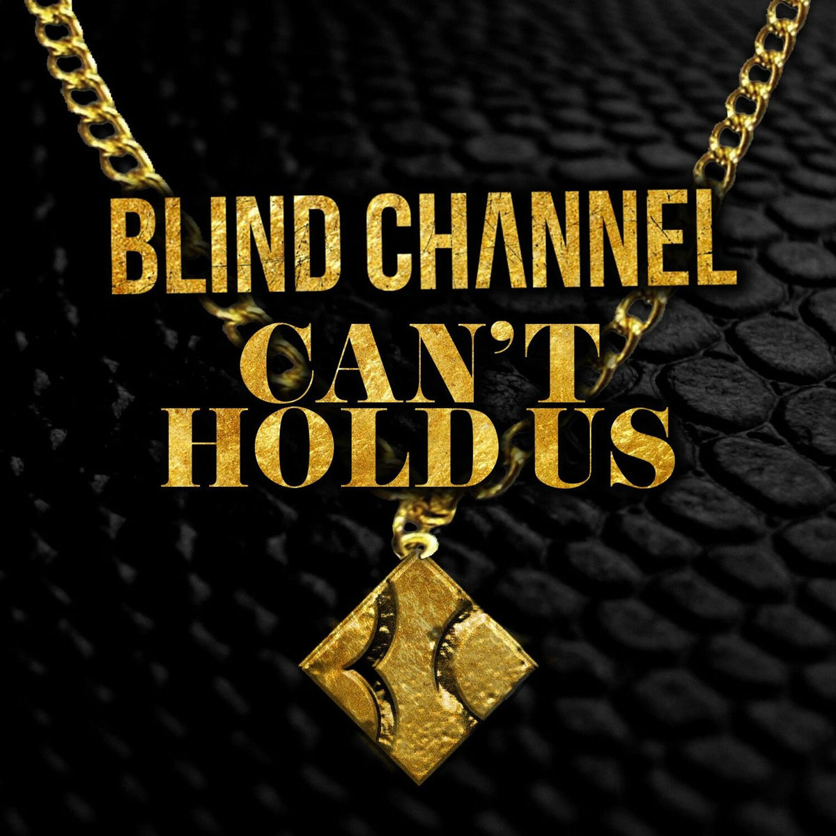 Album cover of Can't Hold Us