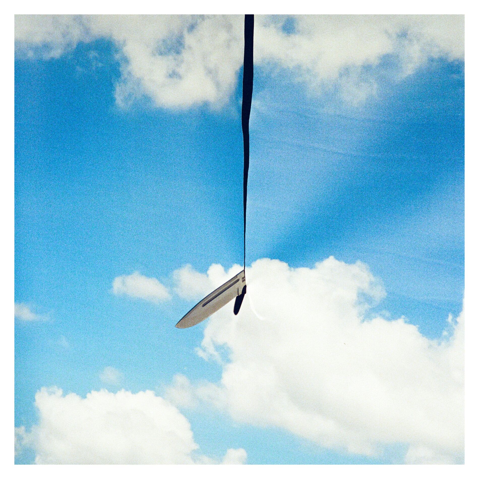 Album cover of Beech
