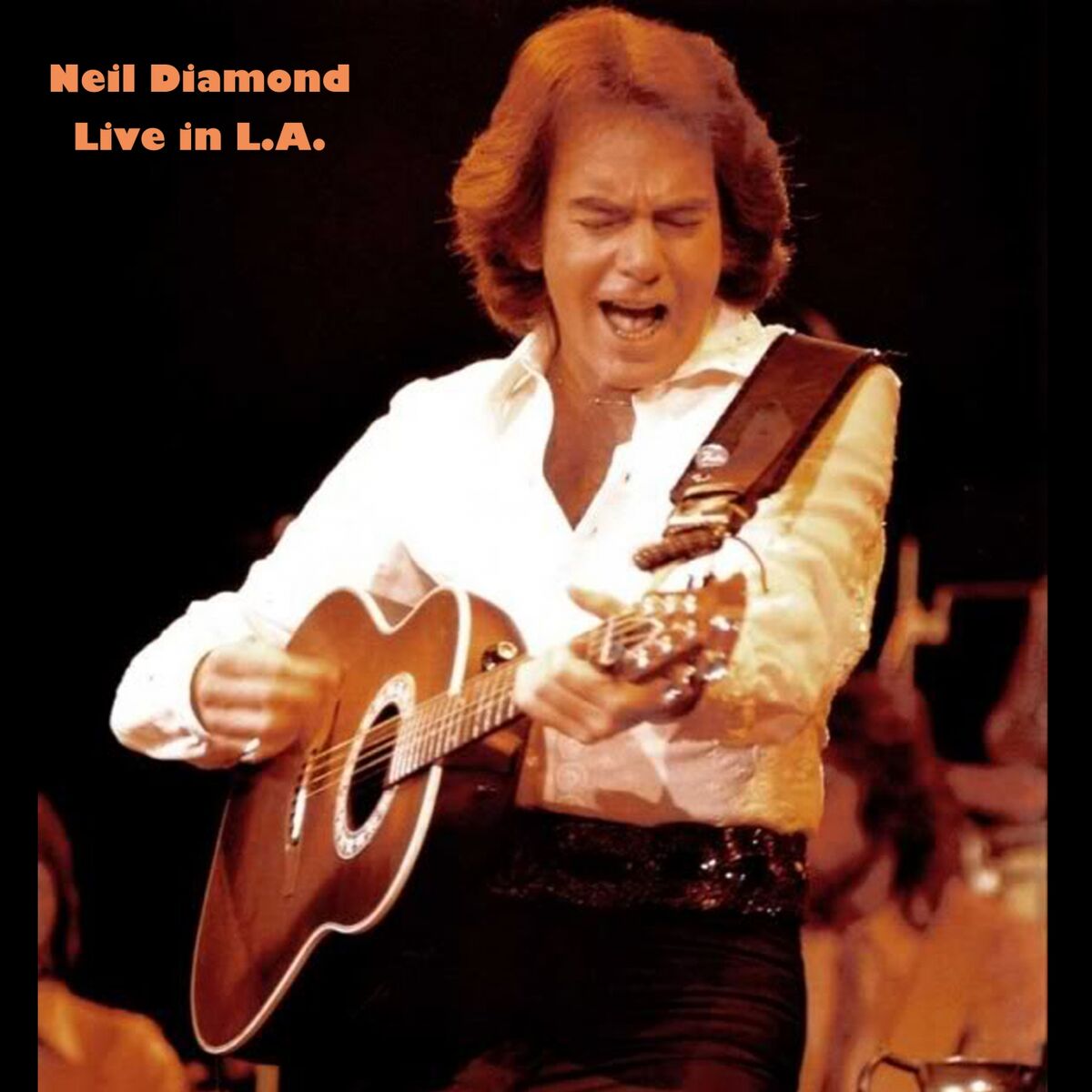 Album cover of Neil Diamond (Live in LA)