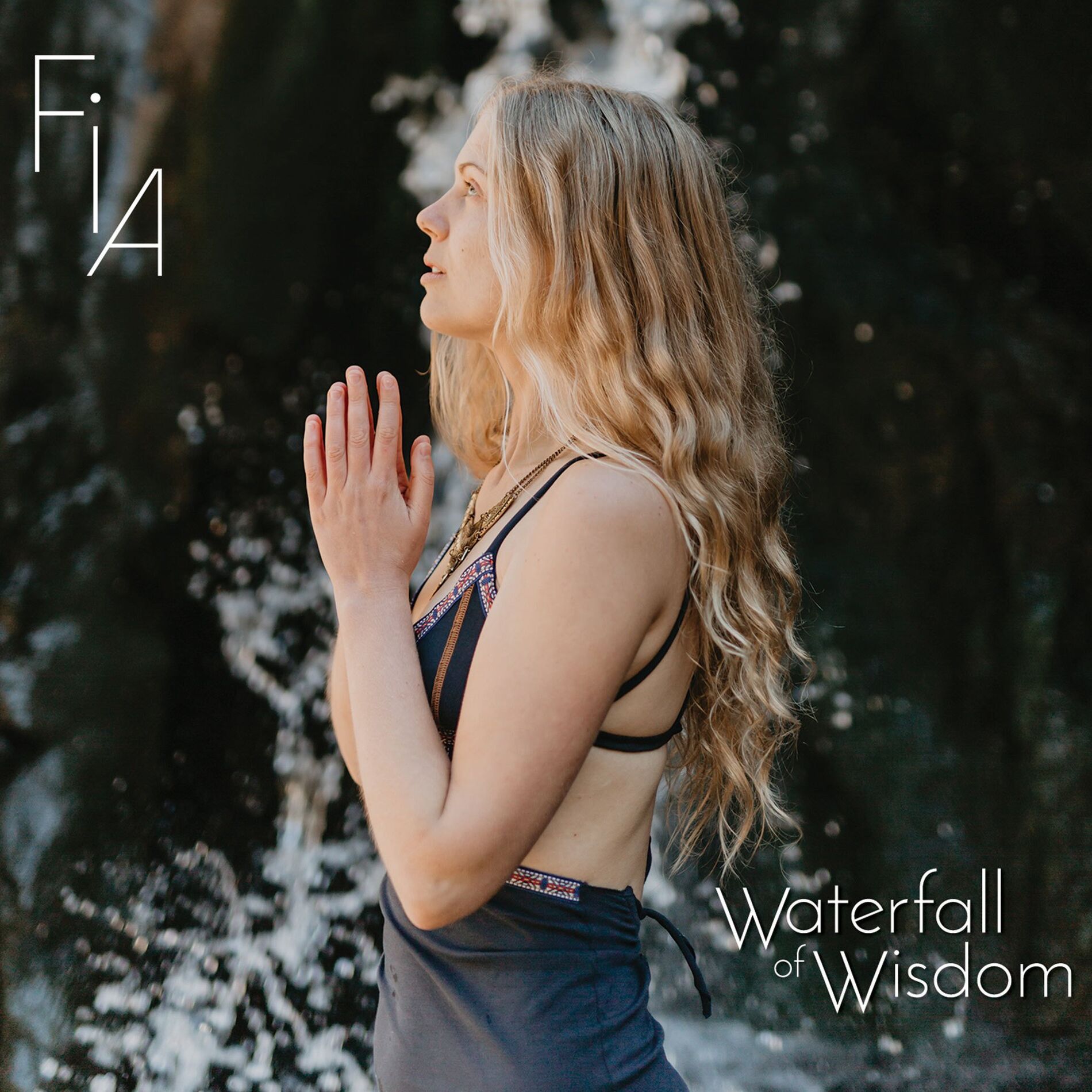 Album cover of Waterfall of Wisdom
