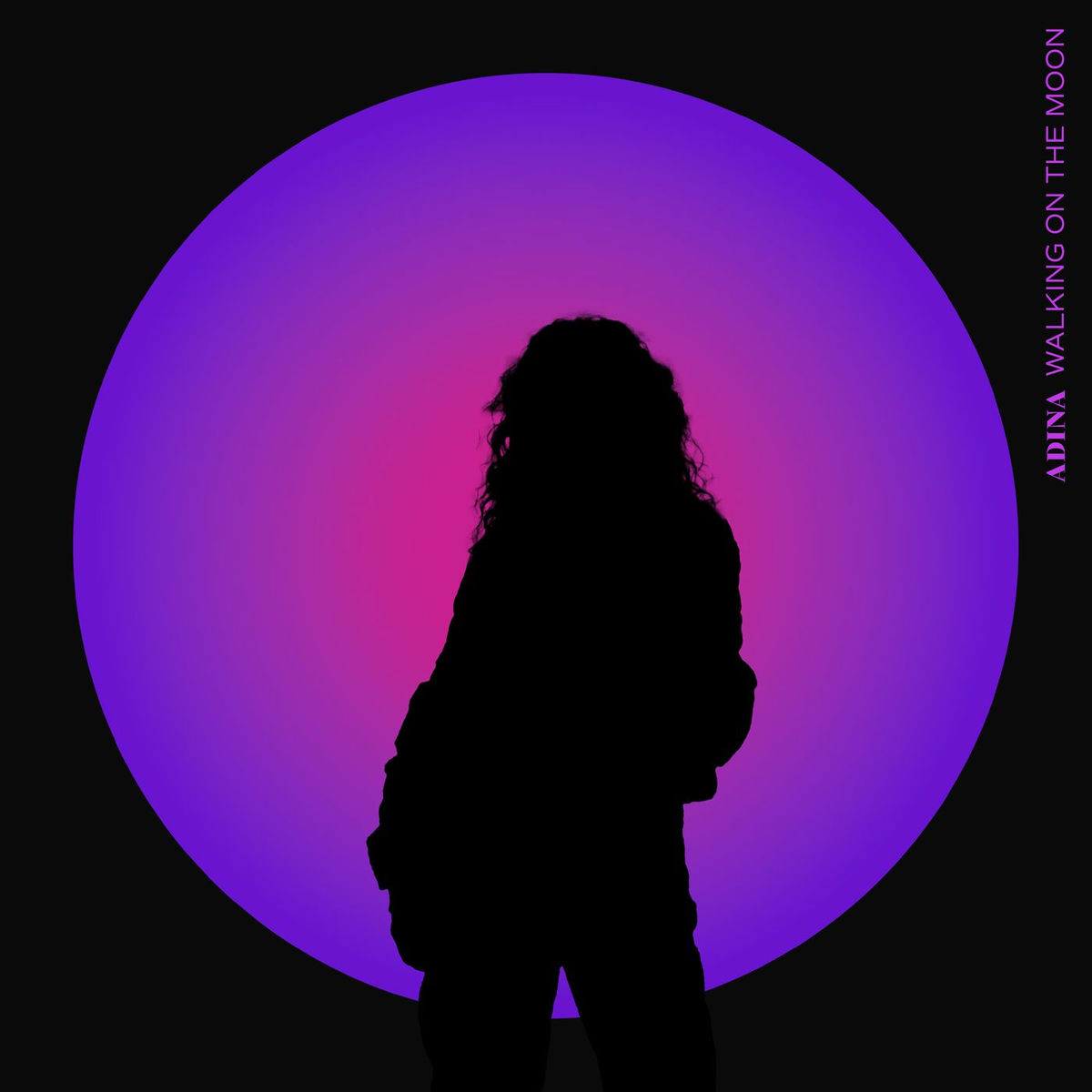 Album cover of Walking On The Moon