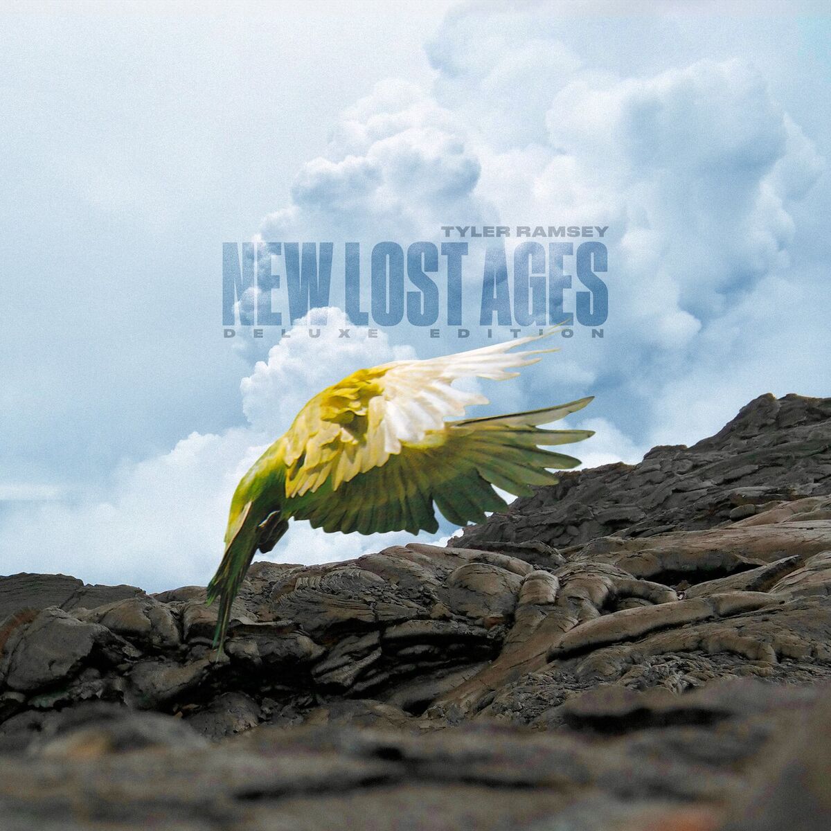 Album cover of Paper Hearts