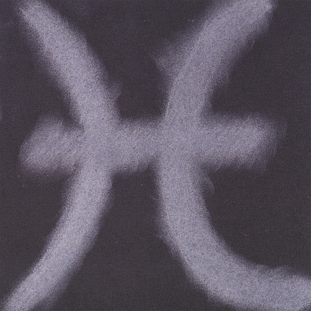 Picture of PISCES