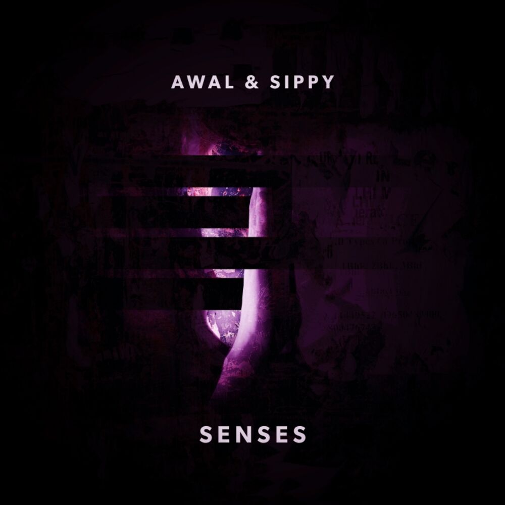 Picture of Senses