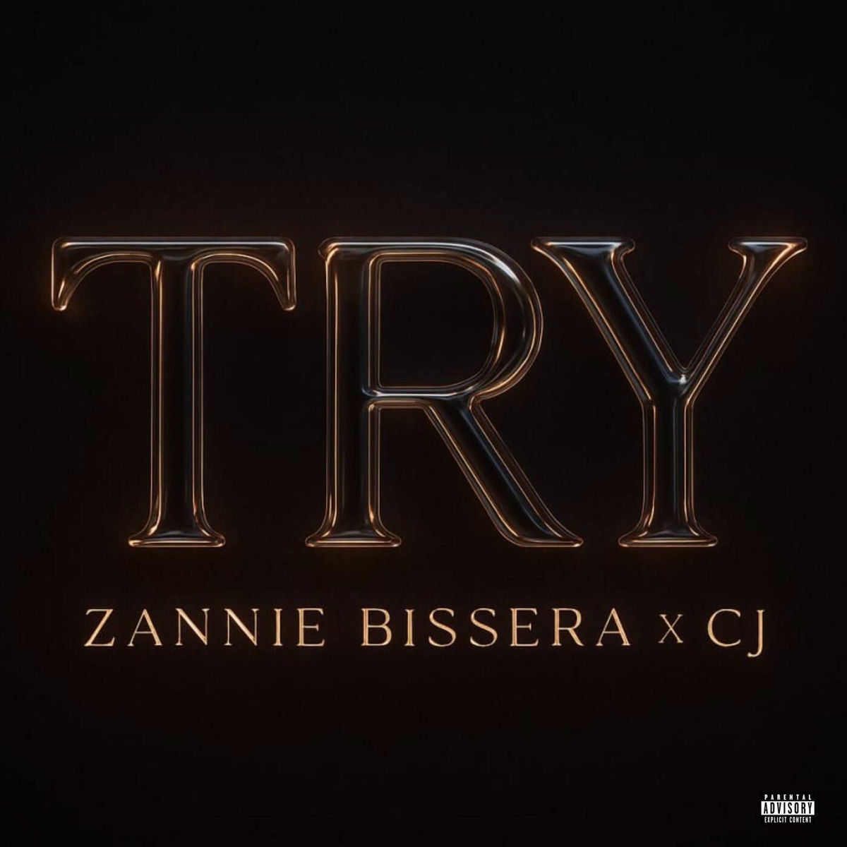 Album cover of Try