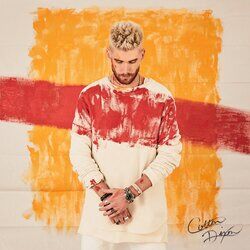 Cover of Canvas