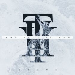 Cover of Crows