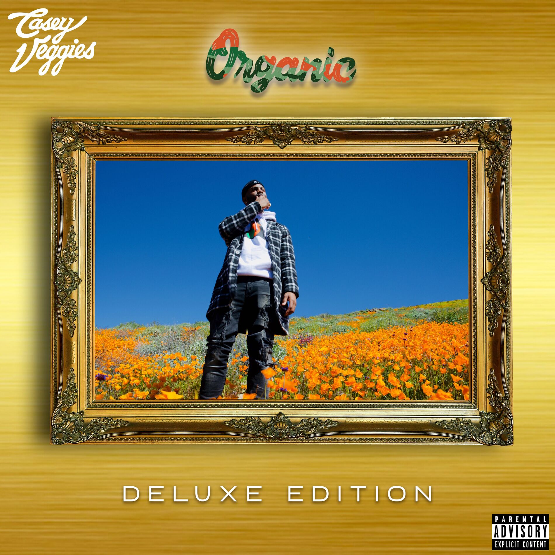 Album cover of Organic (Deluxe)