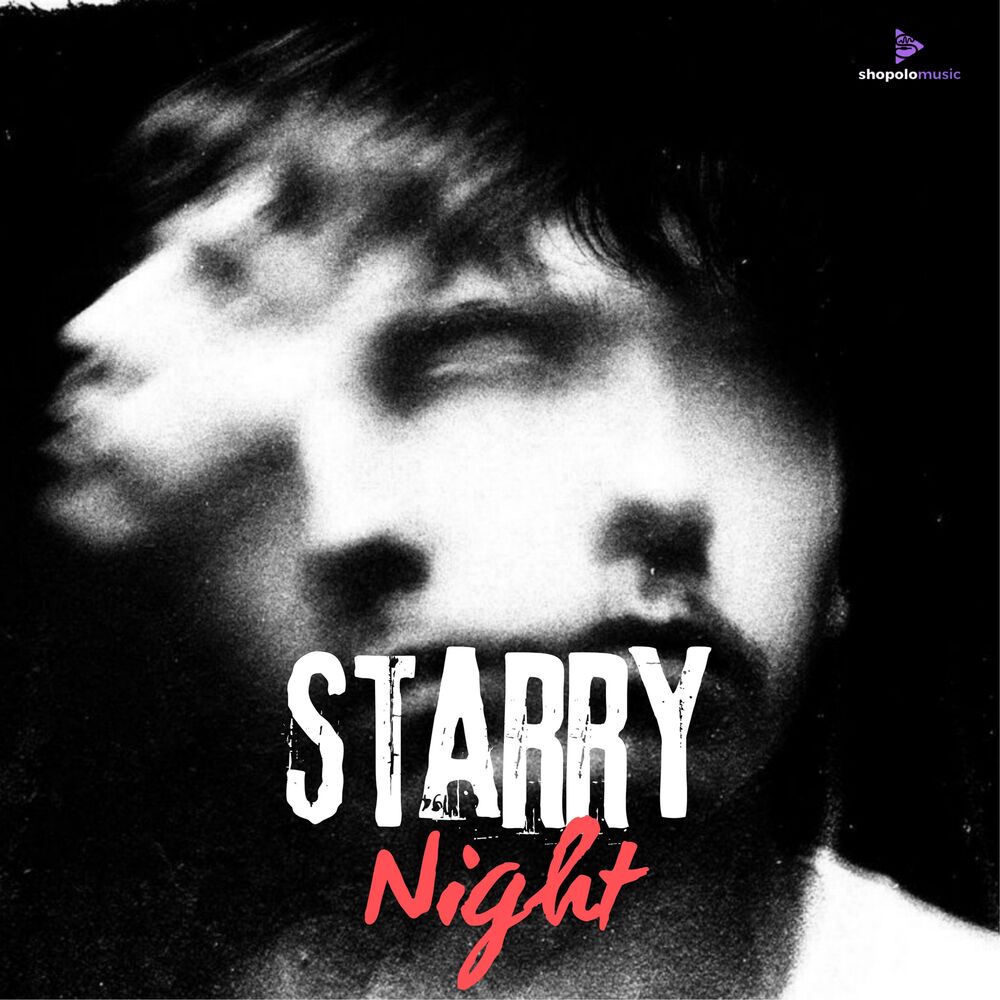 Picture of Starry night