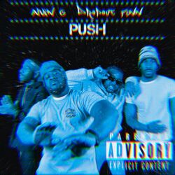 Cover of Push