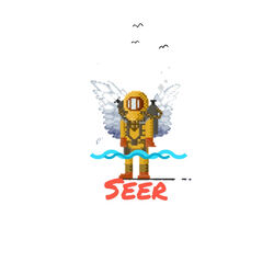 Cover of Seer