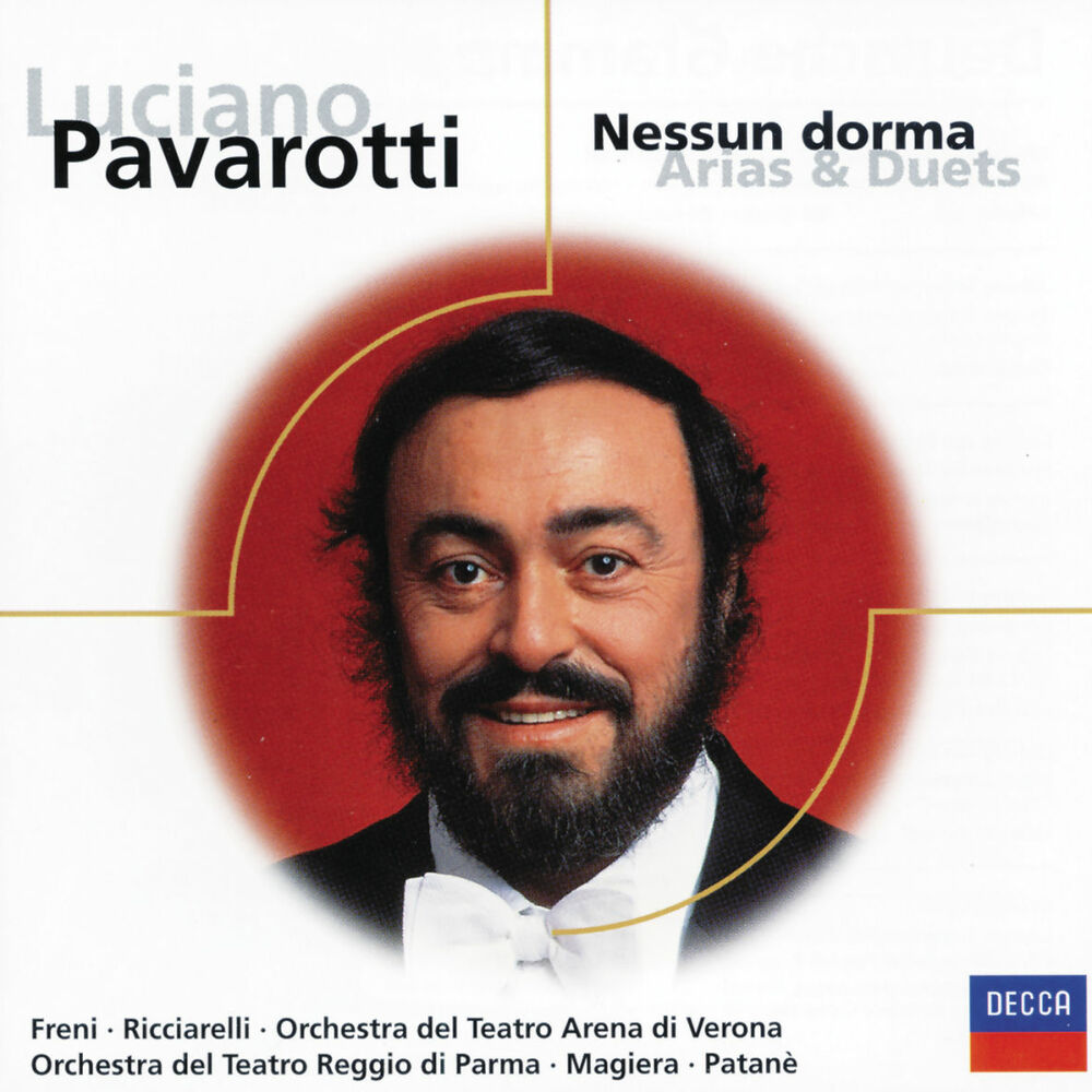 Nessun Dorma cover