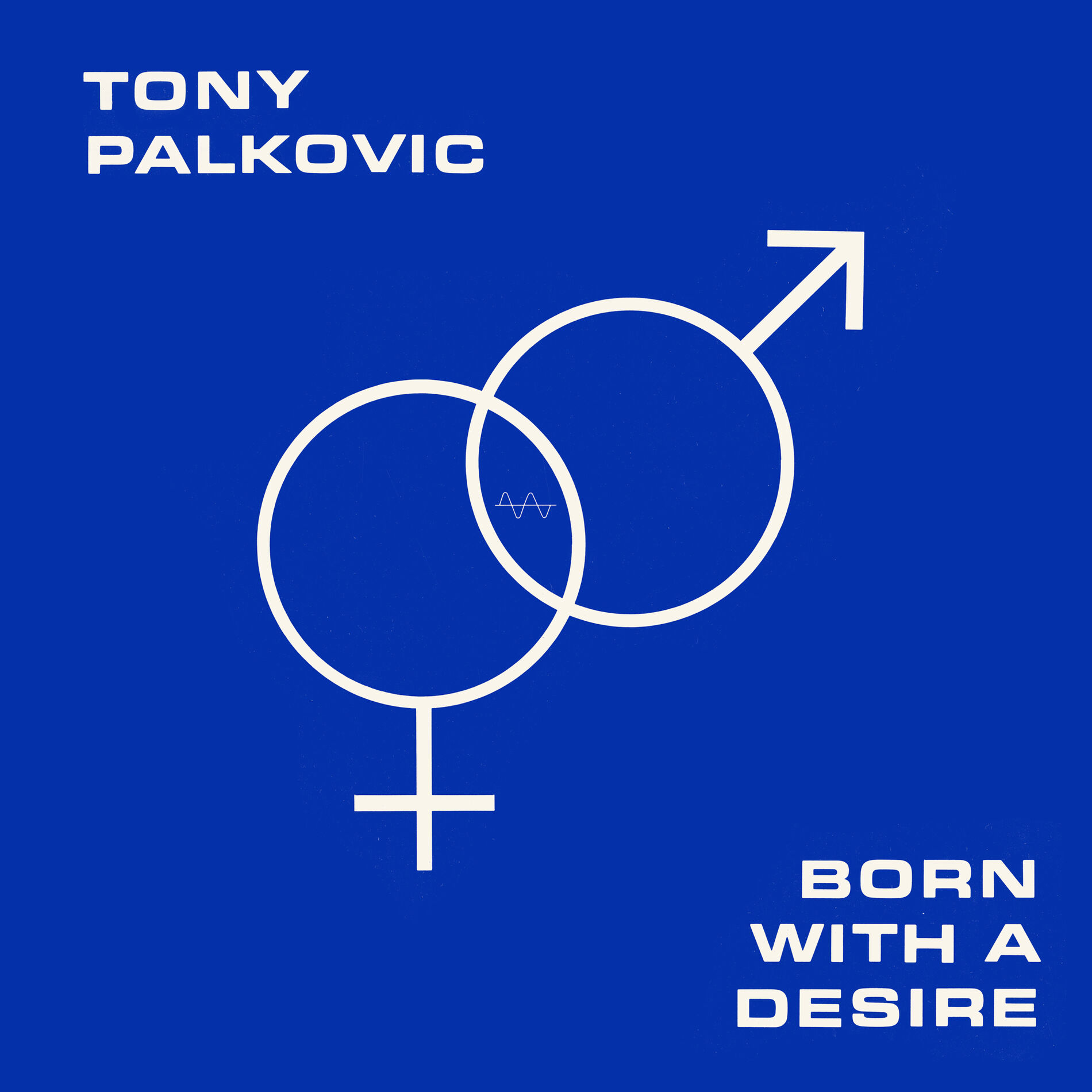 Album cover of Born With a Desire