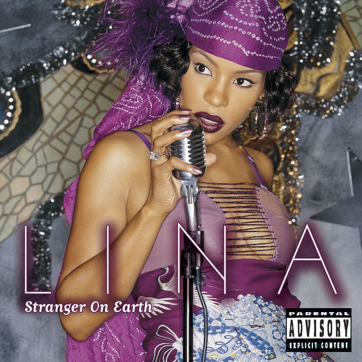 Album cover of Stranger On Earth (Domestic Explicit)