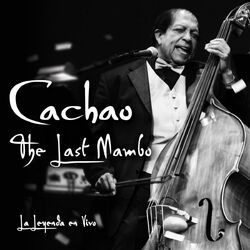 Cover of The Last Mambo