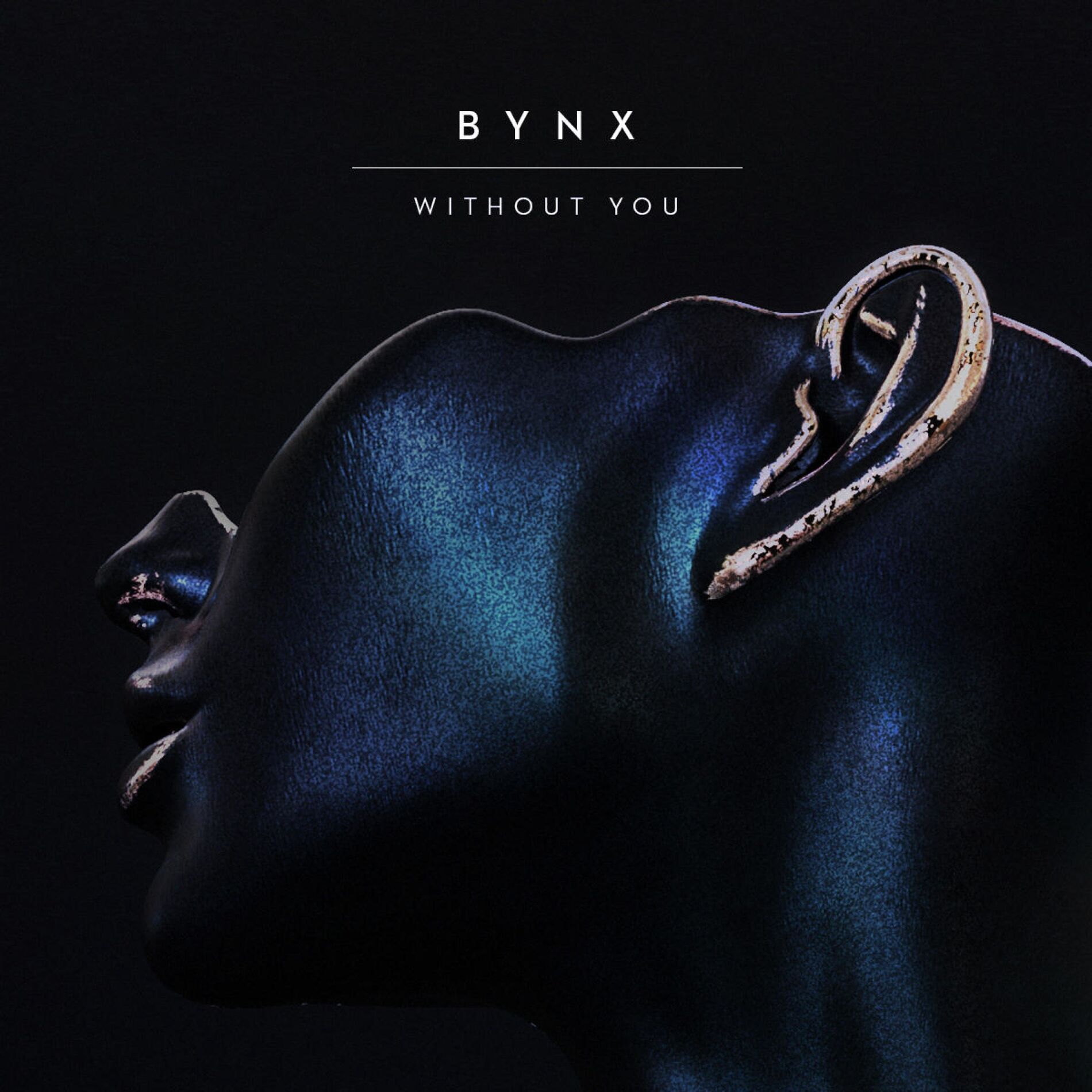 Album cover of Without You
