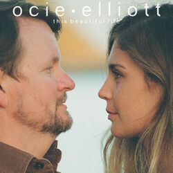Cover of This Beautiful Life