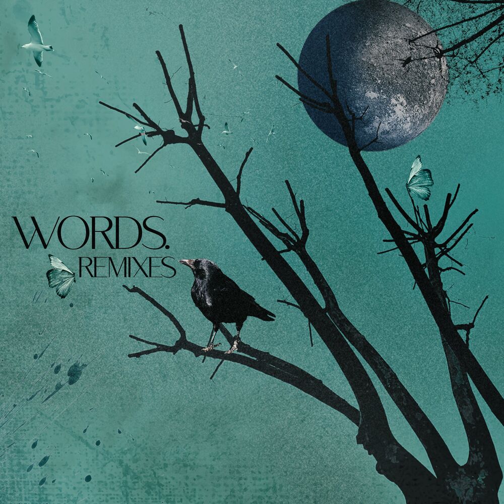 Picture of Words - Remixes