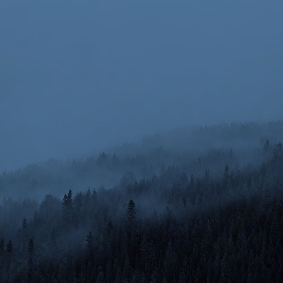 Album cover of shiver