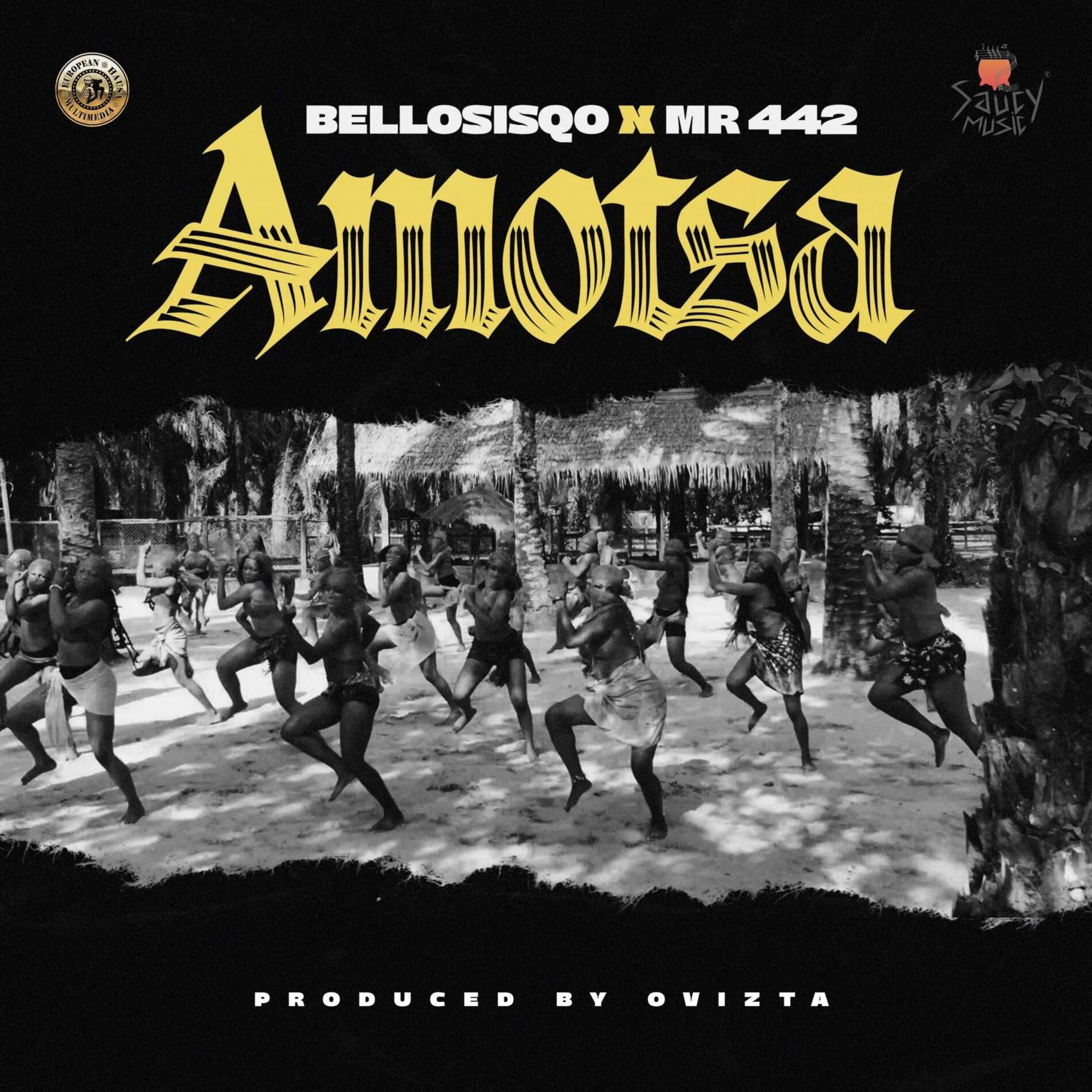 Album cover of Amotsa (feat. Mr442)