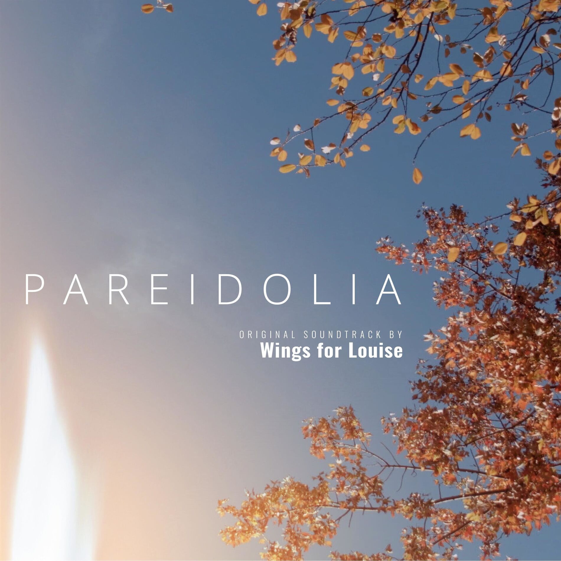 Album cover of Pareidolia (Original Motion Picture Soundtrack)