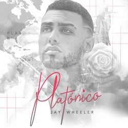 Cover of Platónico