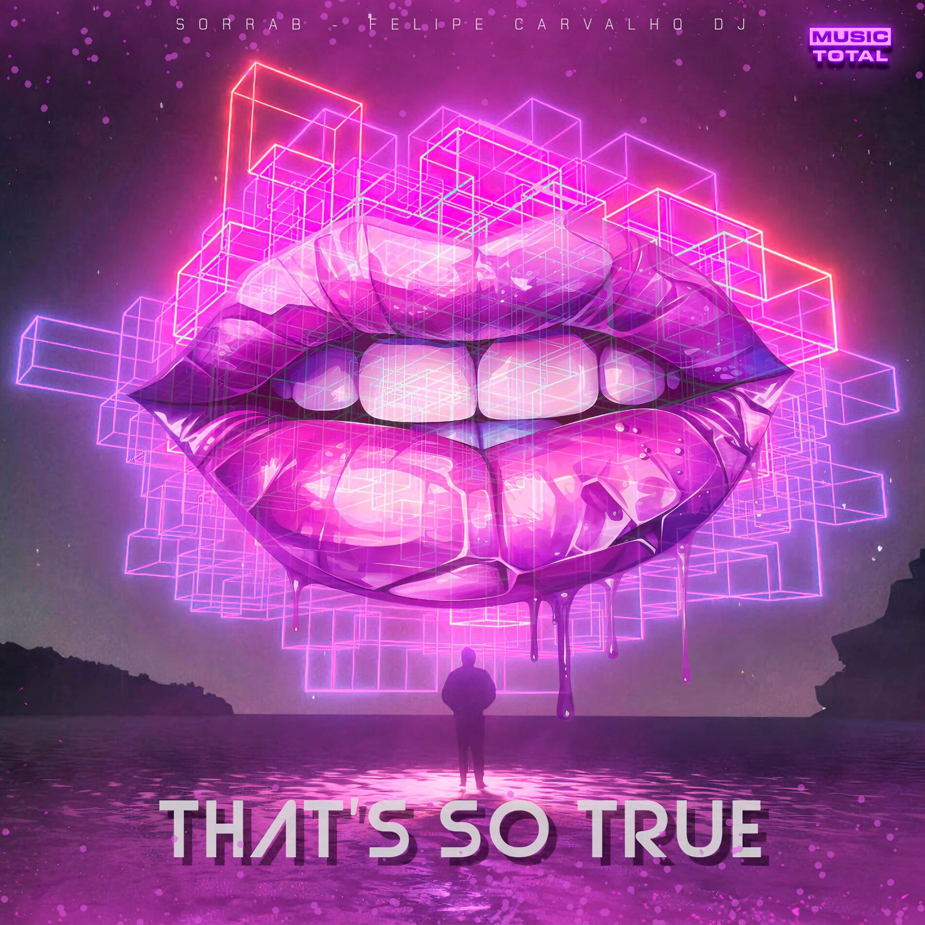 Album cover of That's So True