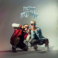 music cover