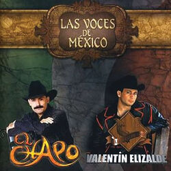 Cover of Las Voces De México