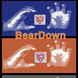 Cover of BearDown