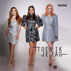 Cover of Toen Ik Je Zag