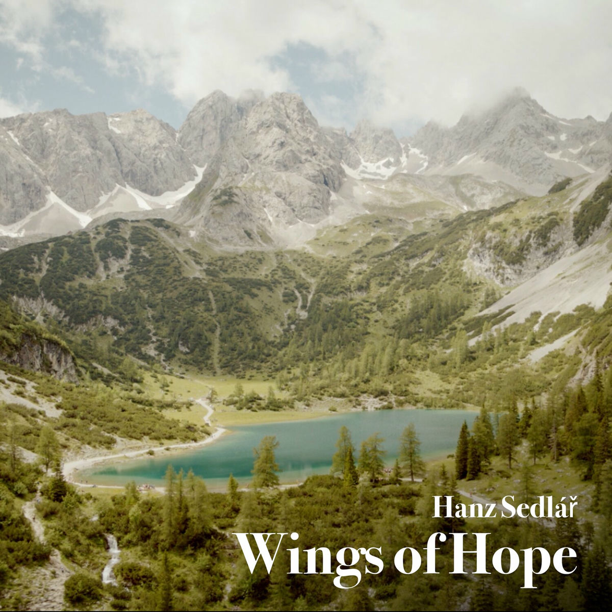 Album cover of Wings of Hope
