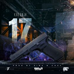 Cover of 17