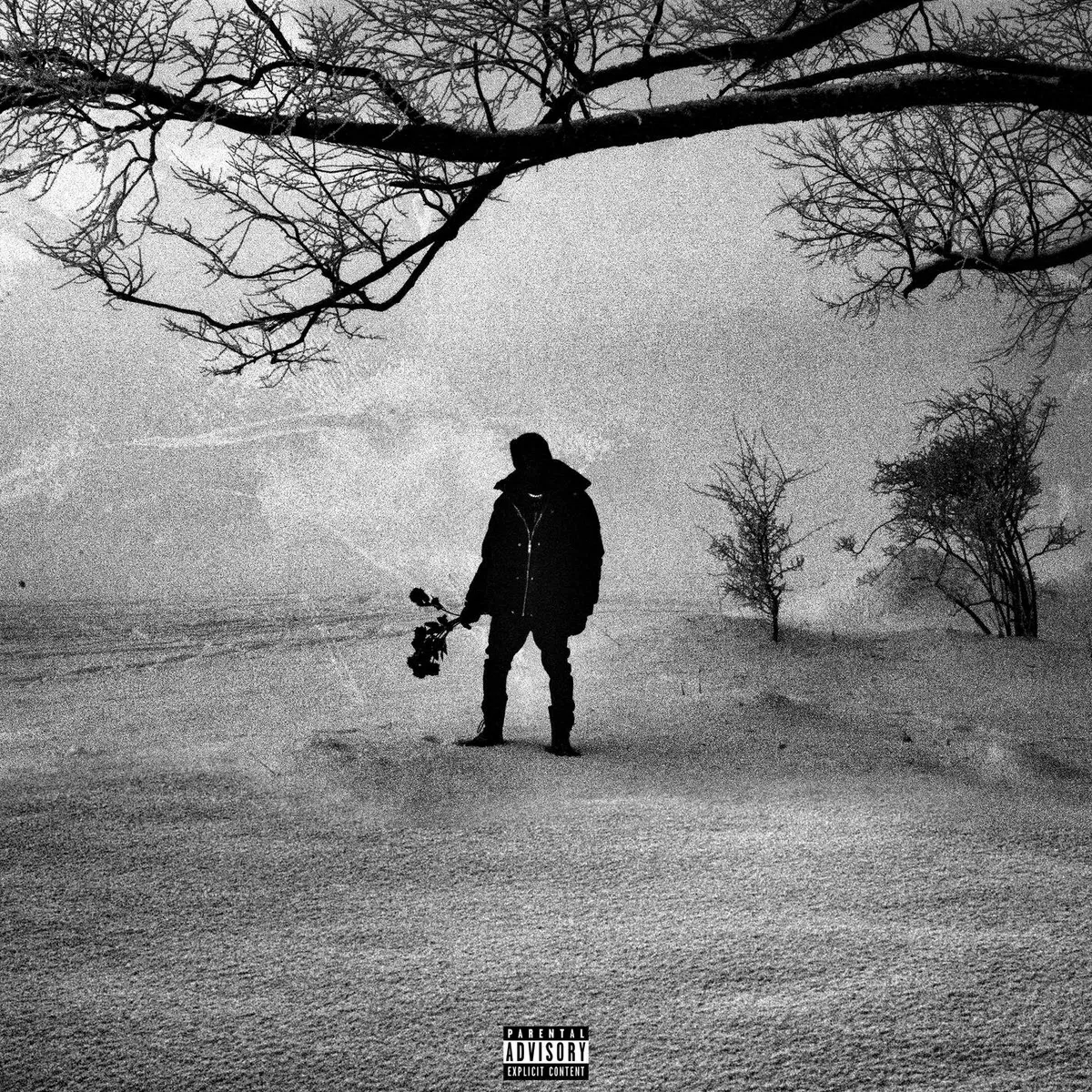 M.A.N (Black Roses & Lost Feelings), Josman