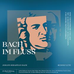 Cover of Bach im Fluss