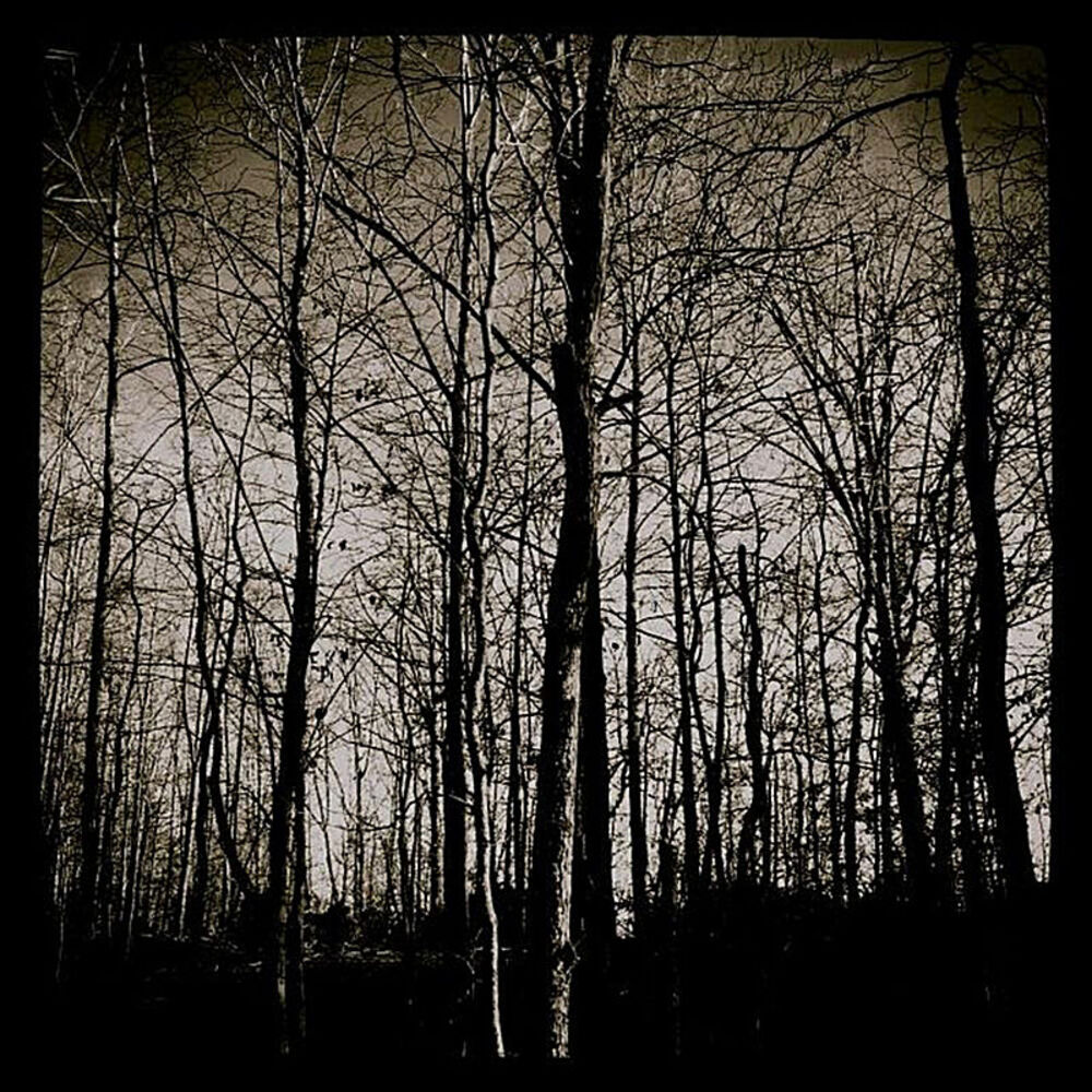 Picture of Harmony of the Dead