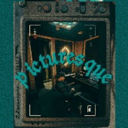 Cover of Picturesque