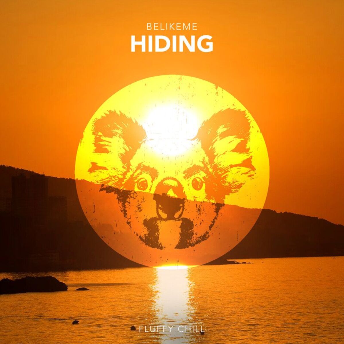 Album cover of Hiding