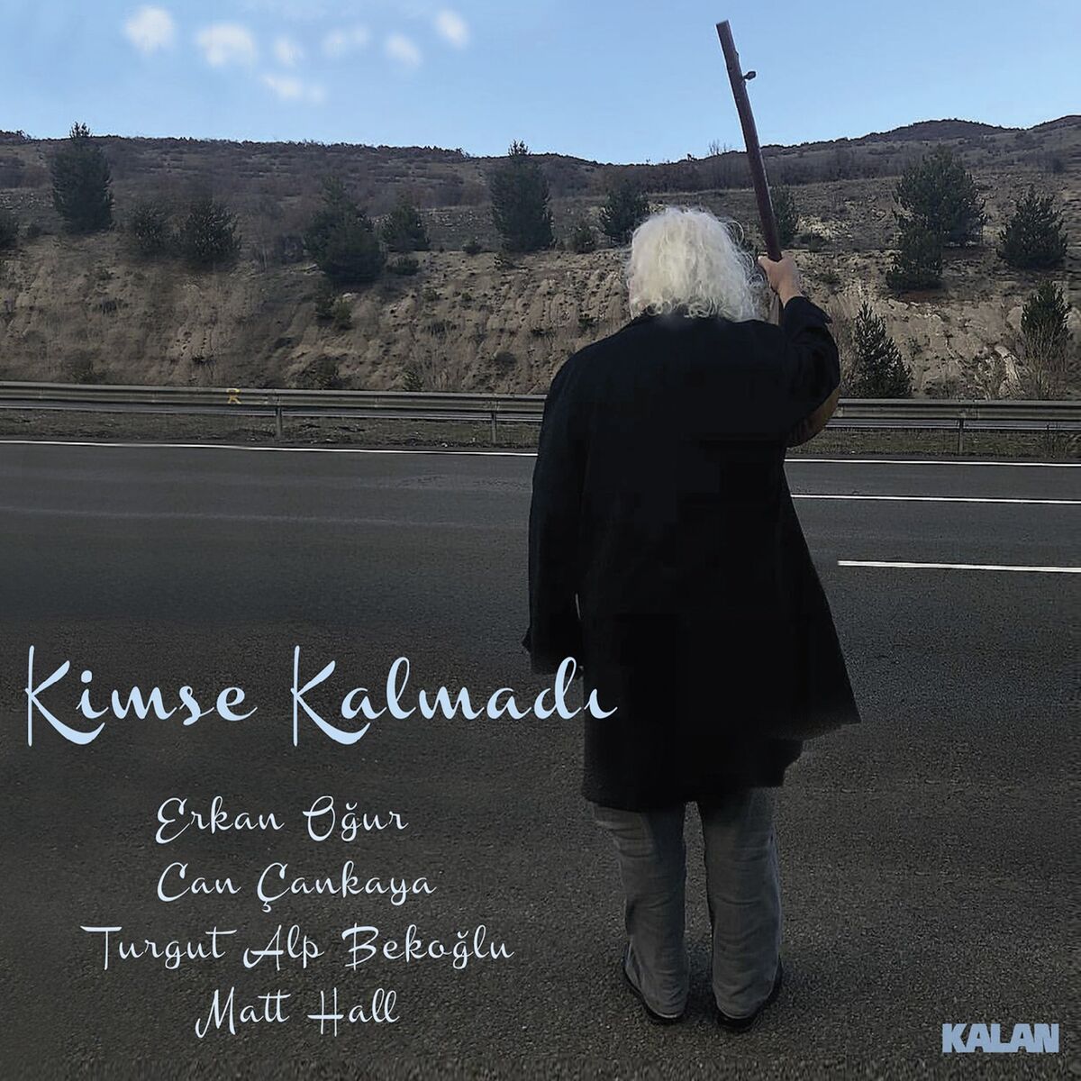 Album cover of Ayrılık Hasreti