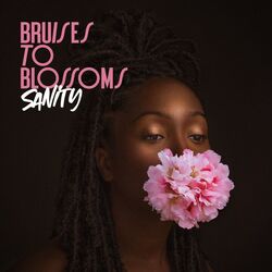 Cover of Bruises To Blossoms